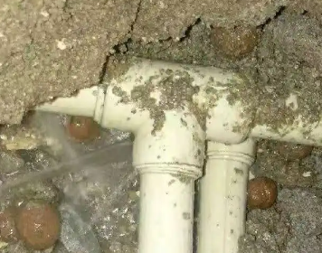 四方台测漏水多少钱