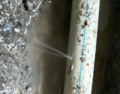 四方台测漏水哪家好