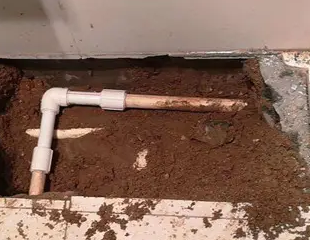 四方台测漏水哪家好