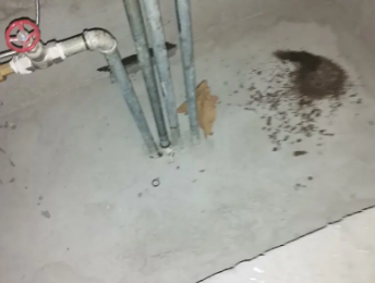 四方台卫生间测漏水价格明细