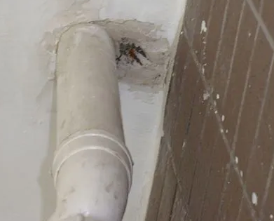 四方台漏水检测哪家好